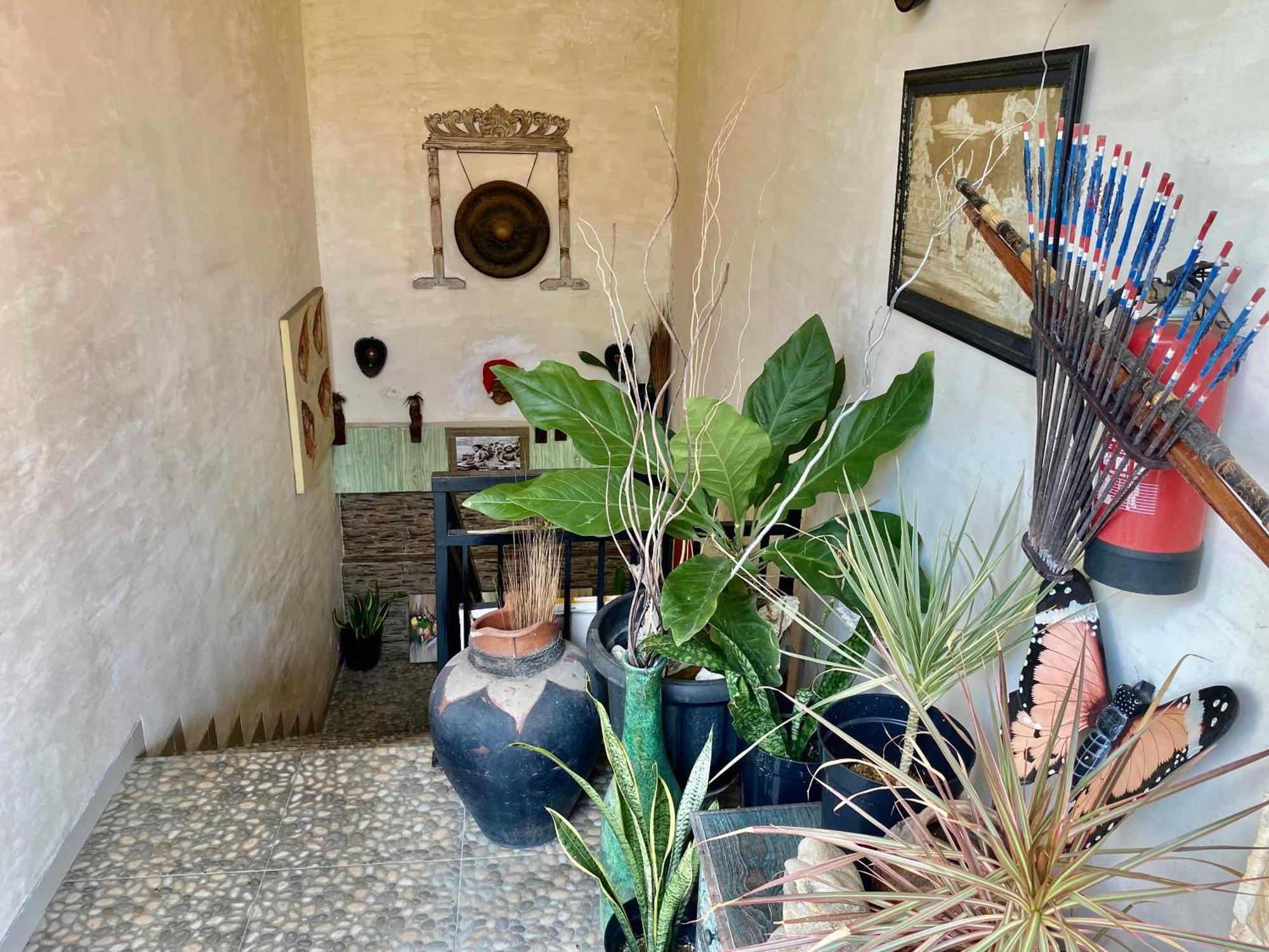 Frog Homestay Sanur 외부 사진