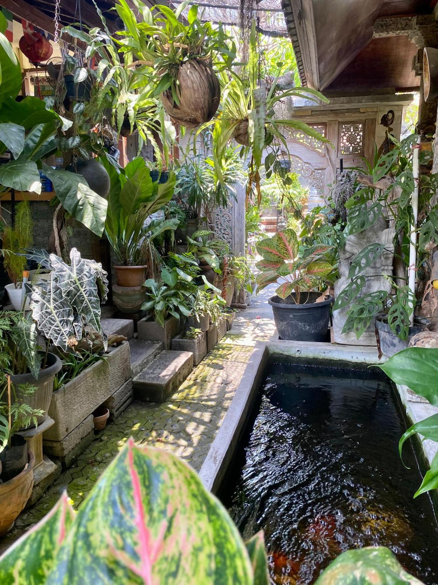 Frog Homestay Sanur 외부 사진